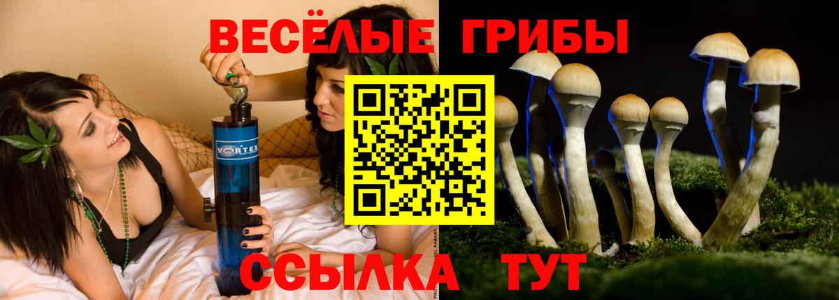 как найти   Галлюциногенные грибы GOLDEN TEACHER  Ступино  Вход с VPN  Галлюциногенные грибы MAGIC MUSHROOMS 